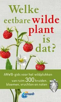 Welke eetbare wilde plant is dat? Fabrieksprijs