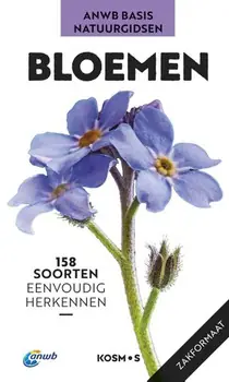 Bloemen Veilige Betaling