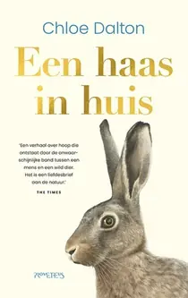 Nieuw Een haas in huis