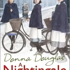 A Nightingale Christmas Wish Direct Verzonden