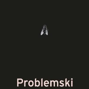 Alleen Vandaag Problemski hotel