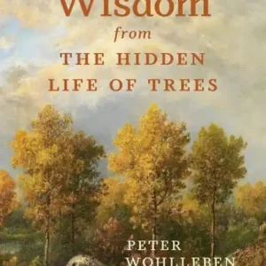 Wisdom from the Hidden Life of Trees Merkproduct