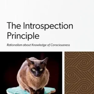 Alleen Vandaag The Introspection Principle