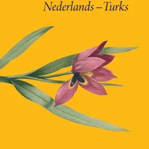 Woordenboek Nederlands-Turks Lage Prijs