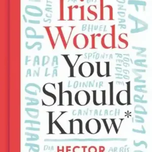 Actieprijs The Irish Words You Should Know