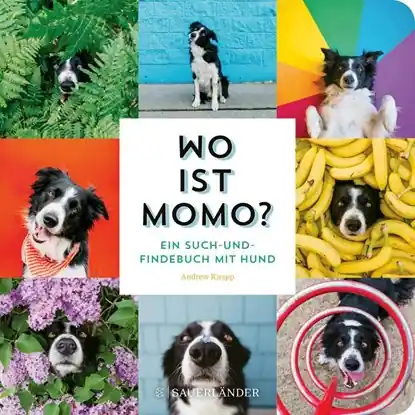 Wo ist Momo? Bestseller