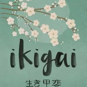 Veilige Betaling Ikigai